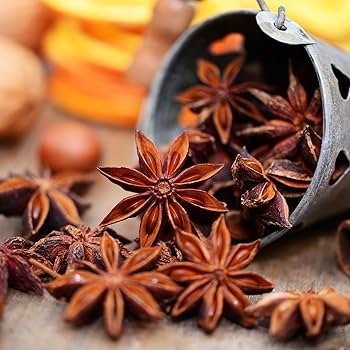 Star Anise Seed Chakra Fool