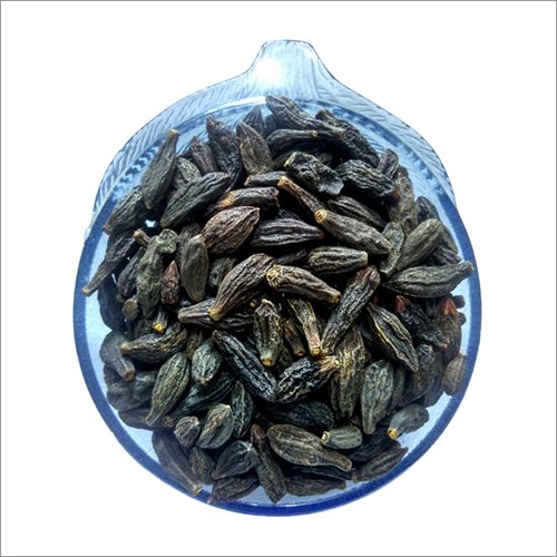 Black Terminalia Chebula Bal Harri Chhoti Harad